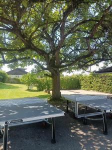Campings Camping le Rys - Mobil-home : photos des chambres