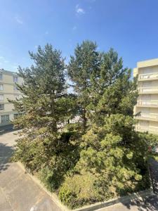 Appartements Appartement 3 chambres - Valence : photos des chambres