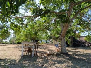 La Sosta del Viandante - Camping