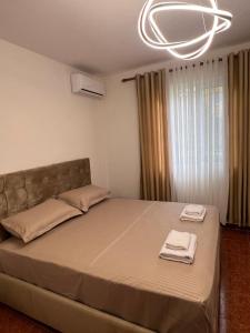 Apartment in Shkoder