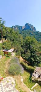Appartements Le Berghon : photos des chambres