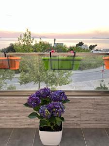 Apartament martin 2c