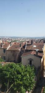 Charming apartment Croix Rousse with a view