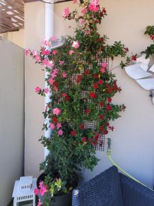Appartements Toit terrasse Climatise avec vue panoramique sur la Rade de Toulon : photos des chambres