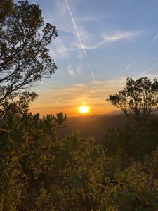 Maisons de vacances Villa provencale La Baniste : Maison 4 Chambres
