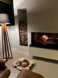 Cobertura Duplex Vista para o Mar e Serra