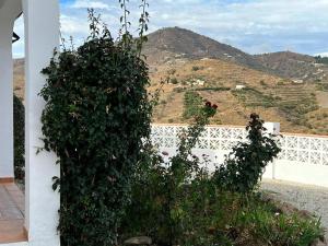 Villa Zarzuela Torrox