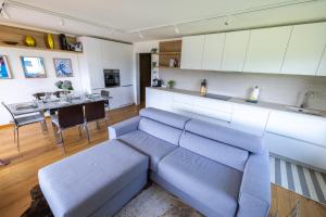 Mountain View - Trek, Bike, Ski, Lake