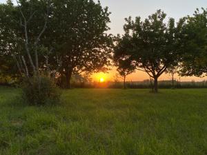 Domaine de la Closerie Champêtre - Chambres dhôtes