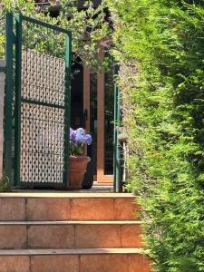 Fabuloso Bajo con Jardines