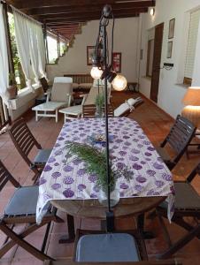 ERIKA House Is Molas img23