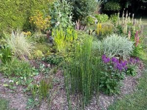 Studio GîTE COSY sur Jardin