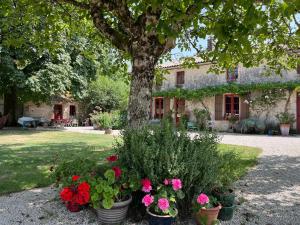 Gites La Grosse Talle : photos des chambres