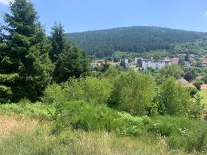 La Résidence des Feutres au 1 er étage app 103