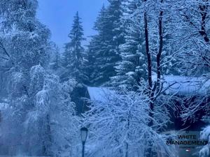 Résidence Solaret Des Brigues - Superbe duplex dans le quartier des Brigues MAE-5864