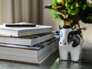 Résidence Ariondaz Campanule - Superbe appartement familial MAE-8354