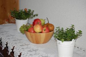 Hocheggerhof - Urlaub am Bauernhof