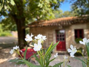Gites La Grosse Talle : photos des chambres