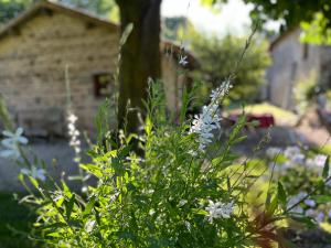Gites La Grosse Talle : photos des chambres