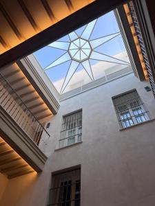 Torre Camelia Adults recommended