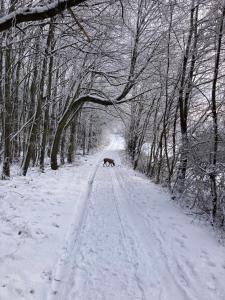 Urlaub am Rande des Vogelsbergs