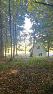 Forest Panorama Cabin Brezna