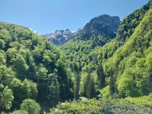 Appartements L-Estanquet : photos des chambres