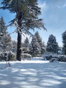 Cabaña en el bosque