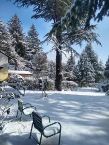 Cabaña en el bosque