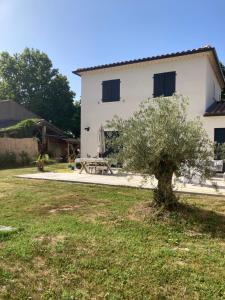 Villas La Petite Bastide en Provence : photos des chambres