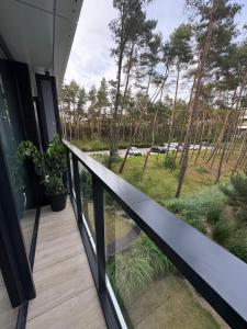 Shellter Bael Apartamenty