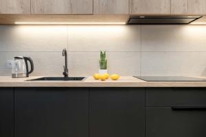 Elegant Studio for 4 People in Łódź by Noclegi Renters