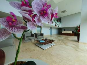 Marinas da Barra - Flat Beira-Mar em Barra de Jangada por Yolo