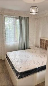 გასაქირავებელი საცხოვრებელი ფართი