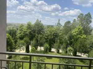 Family, Friendly 2 Bed Apartment