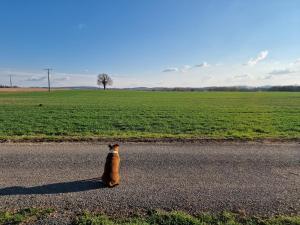 Maison de campagne avec bain nordique