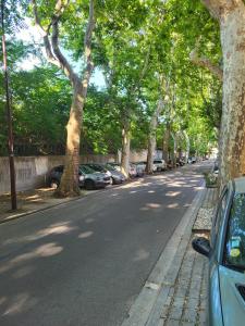 Spacious Apartment, Avignon