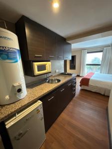 Monoambiente Centrico San Luis