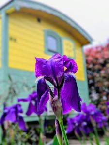 Roulotte de la Villa Font Vive - Tout équipée, tout confort, situation idéale Sud Ardèche