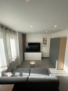 Appartements Les lionceaux : photos des chambres