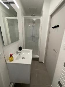 Appartements Les lionceaux : photos des chambres
