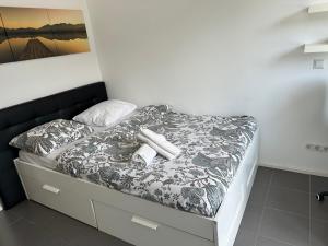 Comfortable room in an apartment