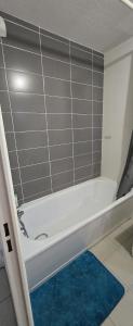 Appartements T2 42 m2 private residence parking : photos des chambres