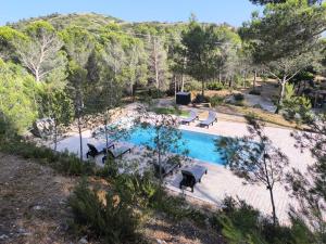 Écrin de nature sous les pins