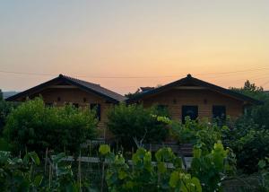 Guest House Dimal Berat