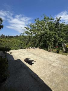 The Calm Place at Tsikhisdziri