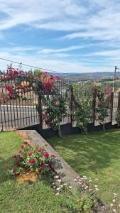 Paraíso em Capitólio MG