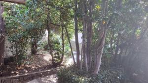 2 minutes to the beach EV station available