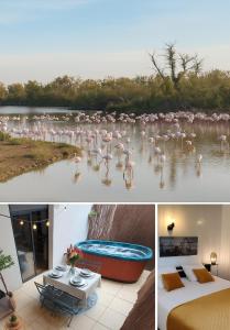 Villas Villa l'Eden de Camargue- Spa et Nature : photos des chambres