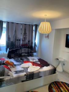 Lovely Spacious Holiday home next Hyde Park